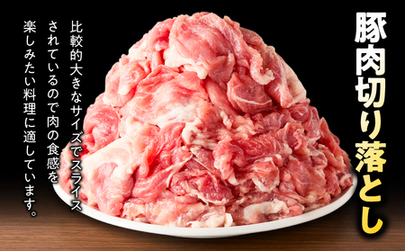 鹿児島県産 豚肉 切落し 3kg セット KN165-008-01 肉 冷凍