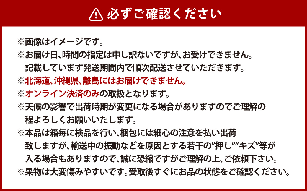 【全2回定期便】 家庭用 シャインマスカット 晴王 2房（1房約530g以上）＋ NEWS PAPER BAG（Hickory） フルーツ 果物 ブドウ ぶどう 葡萄 シャインマスカット マスカット 国産 ギフト 贈答 【2026年10月・11月発送予定】