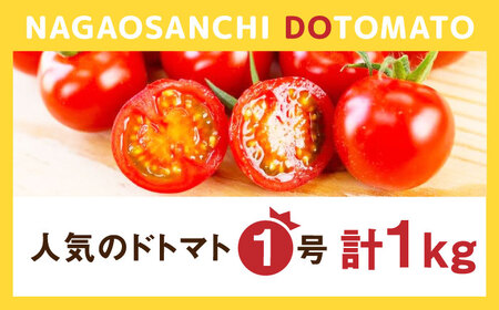【やさしい甘さと程よい酸味】人気のドトマト1号1kg /トマト とまと サラダ 野菜 / 佐賀県 / 永尾産ち[41AAAC002]