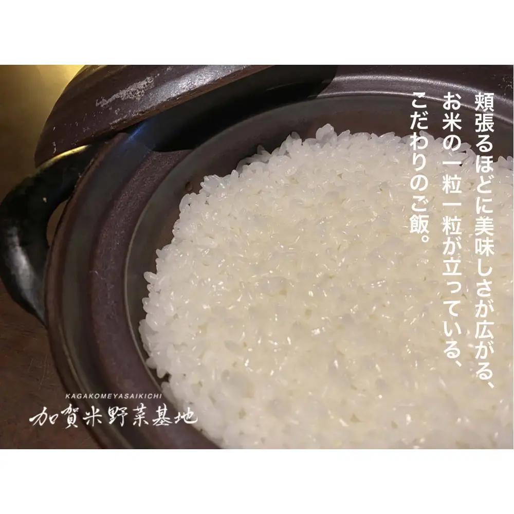 【3ヶ月定期便】【お米番付優秀賞受賞農家】日本一粒の大きいお米『いのちの壱』白米15kg×3回