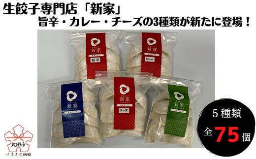 生餃子専門店「新家」の生餃子　創作ぎょうざ 5種類 食べくらべセット