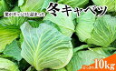 【ふるさと納税】キャベツ 野菜 冬キャベツ どっさり10kg 大容量