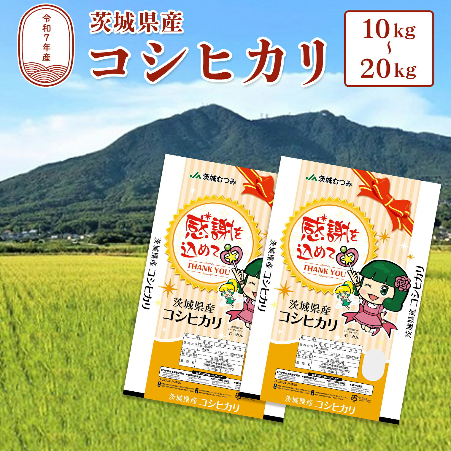 【ふるさと納税】令和7年産 茨城県産 コシヒカリ 白米 10kg (5kg×2袋) 20kg(10kg×2袋) JA 茨城むつみ ｜ 米 お米 精米 ブランド米 こしひかり
