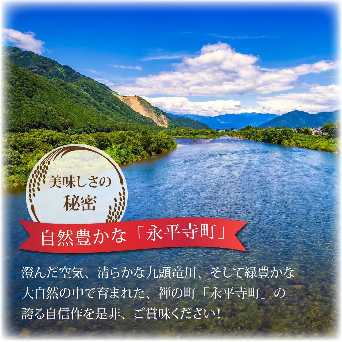 【3ヶ月定期便】【玄米】 令和8年度産　新米 永平寺町産 農薬不使用・化学肥料不使用 特別栽培米 コシヒカリ 10kg×3ヶ月 計30kg 10月上旬より順次発送 １０キロ 10kg 米  米 お米 