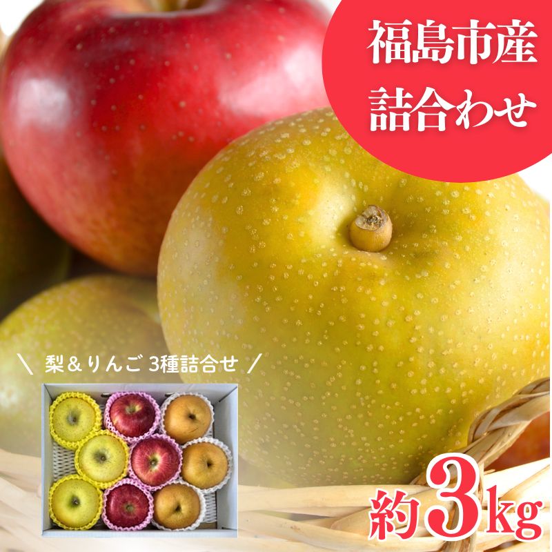 【ふるさと納税】No.3021 なし＆りんご詰合せ 3種 約3kg