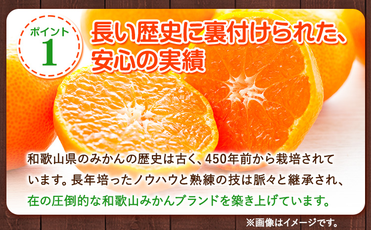 【ふるさと納税】【訳あり/サイズ不選別】 和歌山みかん 約10kg 和歌山県産 《11月中旬から1月中旬に出荷予定(土日祝除く)》たっぷり ご家庭用 2L〜2S 産地直送 みかん 旬 蜜柑 ミカン 柑