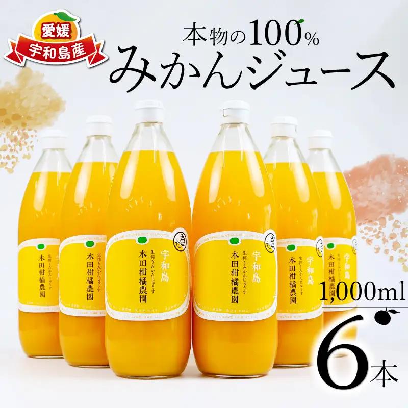 みかんジュース 本物の100％みかんジュース 1,000ml × 6本 木田柑橘農園 H025-185002