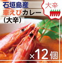 【ふるさと納税】石垣島産車えびカレー（大辛）【冷凍 12食】石垣島のカレー専門店が作るご当地カレー SK-2