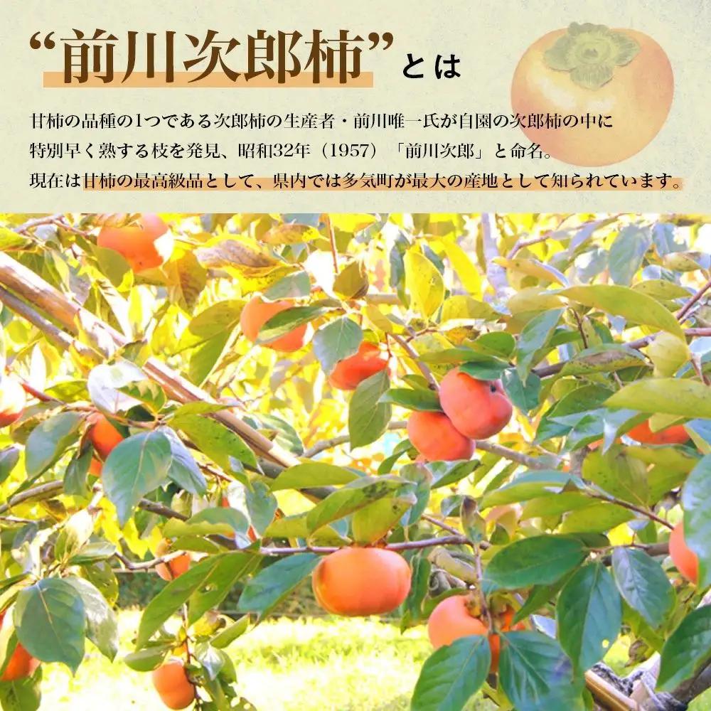 【令和8年産柿/先行予約】 20～26玉 多気町発祥 前川次郎 柿