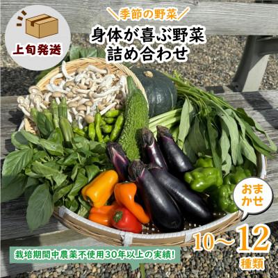 ふるさと納税 鹿嶋市 【発送月固定定期便】『身体が喜ぶ野菜』おまかせ10〜12品(上旬発送)全10回