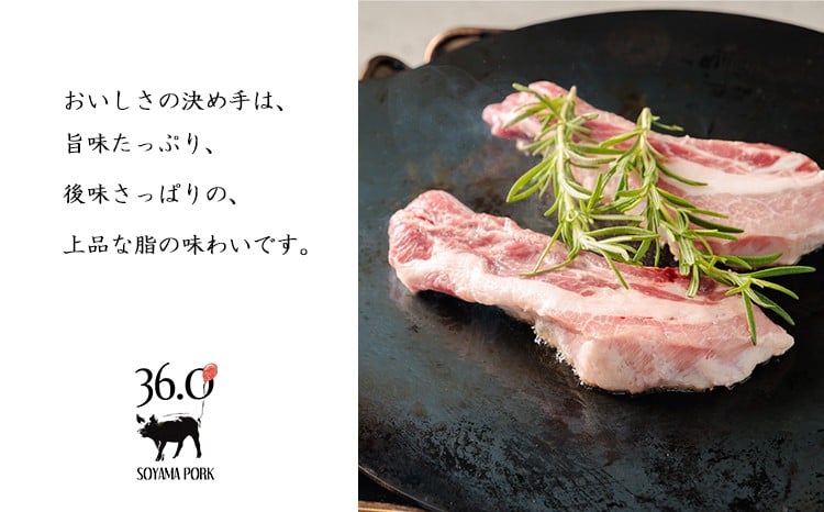 
            ソヤマポークの骨付き肉セット[スペアリブ ポークチョップ 燻製骨付きハム おつまみ BBQ パーティー]TF865-P00078
          