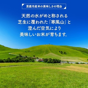 令和5年産 あきたこまち 無洗米 5kgｘ4袋『こまち娘』吉運商店 秋田県 男鹿市