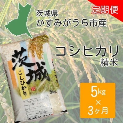 【ふるさと納税】【毎月定期便】茨城県かすみがうら市産　精米　コシヒカリ5kg全3回【4076522】