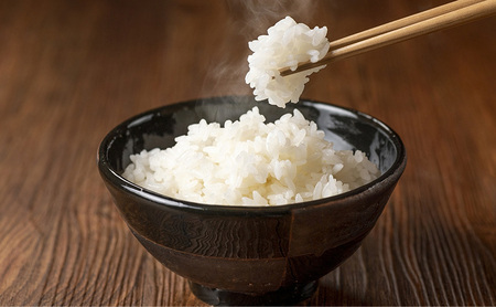 令和7年産 先行予約 食味鑑定士厳選 新潟県上越柿崎区厳選 こしひかり 無洗米 10kg 3か月定期便 上越市 精米 米 コメ コシヒカリ ブランド米