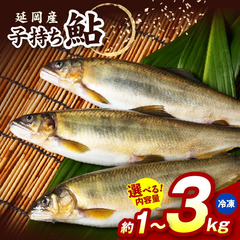 【ふるさと納税】延岡産 子持ち鮎 選べる 内容量 約 1 ～ 3kg 冷凍 黄金色 鮎 子持ち 魚 魚卵 川魚 魚介類 養殖 塩焼き 鮎めし おかず おつまみ 宮崎県産 お取り寄せ お取り寄せグルメ 宮崎県 延岡市 送料無料