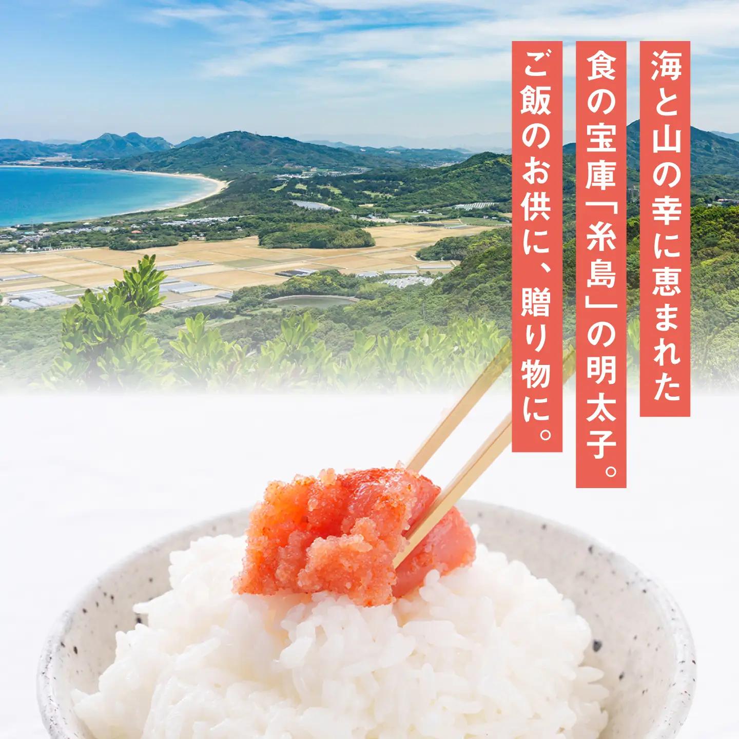 【全12回定期便】九州 福岡 お土産 グランプリ 受賞 酒と醤油の 辛子 明太子 「可也山」 540g ( 270g×2箱 ) 糸島市 / やますえ [AKA088] 博多 辛子明太子 ご飯のお供 め