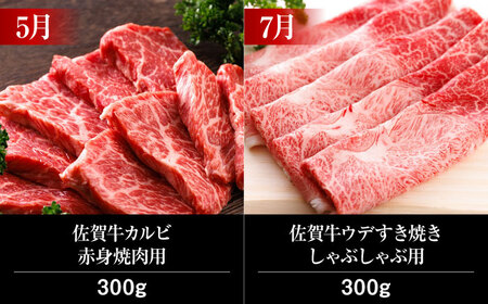 【6回定期便】 A5ランク 佐賀牛 高級 霜降り 食べ比べ 定期便 約2-3人前 総計2.15kg 10万コース “奇数月”発送 /焼肉どすこい [UCC007] 佐賀牛 牛肉 黒毛和牛 佐賀牛ステー