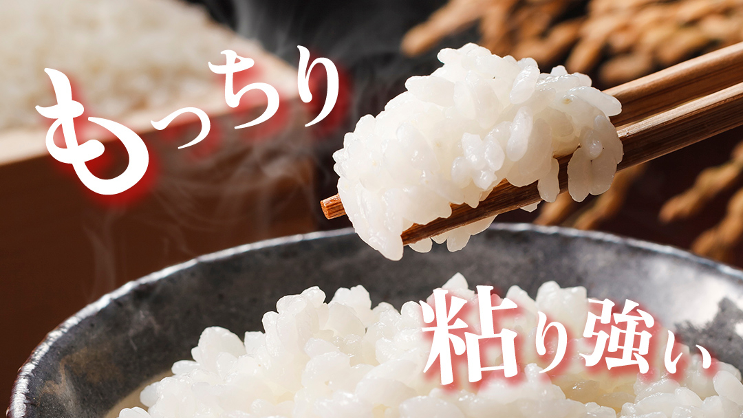 《 令和8年産 》 全3回 定期便 茨城県産 にじのきらめき 10kg × 3回 ( 合計 30kg ) 新米 先行予約 3ヶ月 茨城県 桜川市 白米 精米 国産 茨城県 お米 米 おこめ おコメ ご