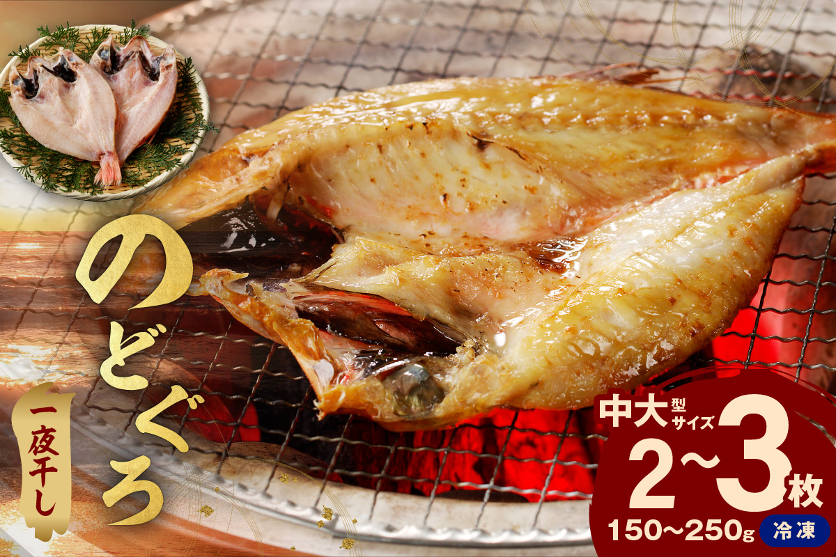 のどぐろ一夜干し個包装2～3枚「中～大型150～250gサイズ」 産地直送 干物 魚 一夜干し 人気 大きい 天然 ボリューム ノドグロ 【005_2087】