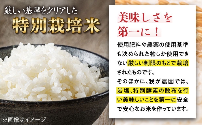 コシヒカリ こしひかり 米 お米 白米 5kg 5キロ ご飯 白飯 国産 精米 粘り 甘い おいしいお米 おにぎり こだわり