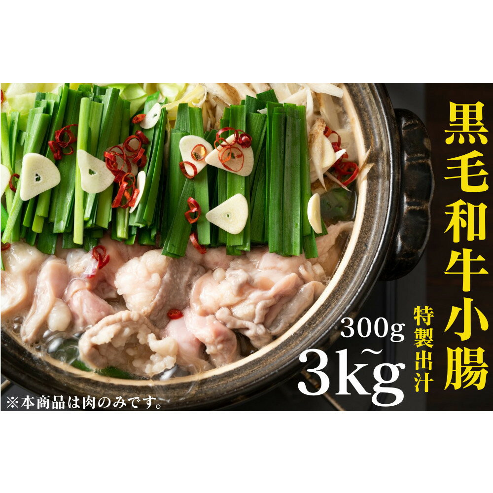 【ふるさと納税】【容量選択可】黒毛和牛トロホルモン（小腸）　特製だし300g～3kg【選べる配送月】