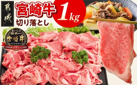 
                  宮崎牛切り落とし1kg〔64-005〕_(都城市)  500g×2パック 計1キロ 冷凍保存可 牛モモ肉 牛バラ肉 ミックス 肉じゃが カレー 炒め物 すき焼きなどに 国産黒毛和牛
                
