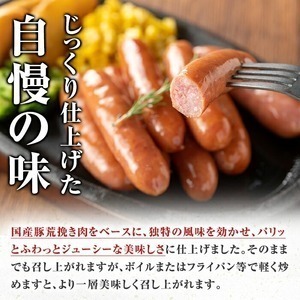 ＜2026年5月中に発送予定＞国産 豚 生ハム 切り落とし おつまみ 小分け 業務用 荒挽き 恵み ウインナー (合計1.6kg) 【ナンチク】A941-05