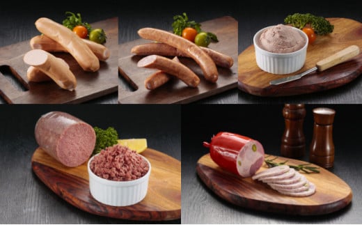 ハム  ソーセージ 5種 詰め合わせ 合計960g セット 肉 お肉 国産 豚肉 ウインナー フランクフルト サラミ コンビーフ レバーパテ 加工肉セット はむ そーせーじ ればー フランク 江の島 