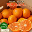 【ふるさと納税】【先行予約】有田育ちのご家庭用 完熟有田みかん10kg【2024年11月上旬より発送】【訳あり】 | フルーツ 果物 くだもの 食品 人気 おすすめ 送料無料