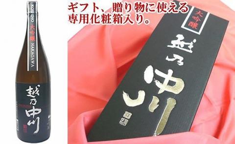 C1-A9大吟醸飲み比べセット（1800ml×2本）