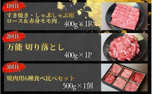 【全5回】美熊野牛 定期便A ＜すき焼きしゃぶしゃぶ用ロース＆赤身モモ肉 400g・切り落とし 400g・焼肉用6種食べ比べ 500ｇ・サーロインステーキ 300g×1枚・100％ハンバーグ 100g