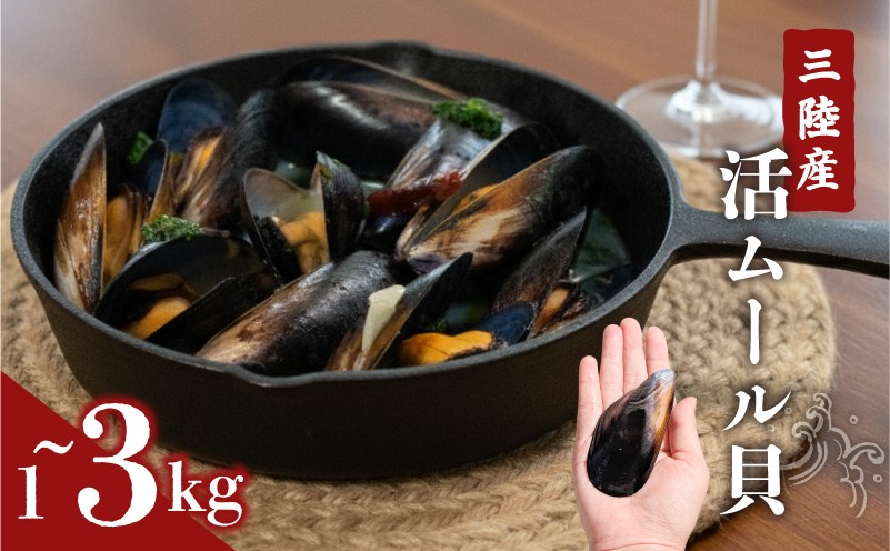
                  【季節限定】 国産 活ムール貝 選べる 1kg～3kg 冷蔵 ムール貝 むーるかい むーるがい ムラサキ貝 しゅうり貝 殻付き 新鮮 産地直送 お取り寄せ グルメ 国産ムール貝 三陸産ムール貝 晩酌 おつまみ ごはん 夜ご飯 海産物 三陸 岩手県 大船渡市 5000円 5千円 五千円 5000円以下 5000円以内
                
