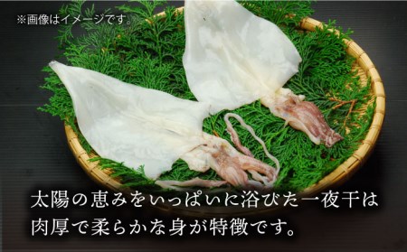 剣先イカ 一夜干（中）3杯《壱岐市》【株式会社マルショウ】 いか イカ 剣先いか セット おつまみ 一夜干し [JEW006] 15000 15000円 コダワリイカ・いか こだわりイカ・いか おすす