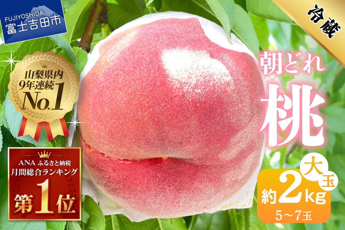 【2026年発送】山梨の朝どれ桃2kg　大玉5玉～7玉【マツコの知らない世界】