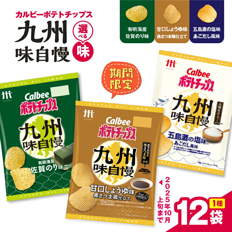 【ふるさと納税】＜選べる＞ カルビー ポテトチップス 九州味自慢 五島灘の塩味あごだし風味 有明海産佐賀のり味 甘口しょうゆ味黒さつま鶏仕立て ポテチ チップス 九州 沖縄 限定 塩 あごだし Calbee まとめ買い セイカ食品 鹿児島 おすすめ ランキング プレゼント ギフト