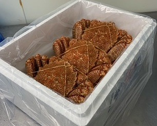 毛がに500～600g×3尾 D-60009