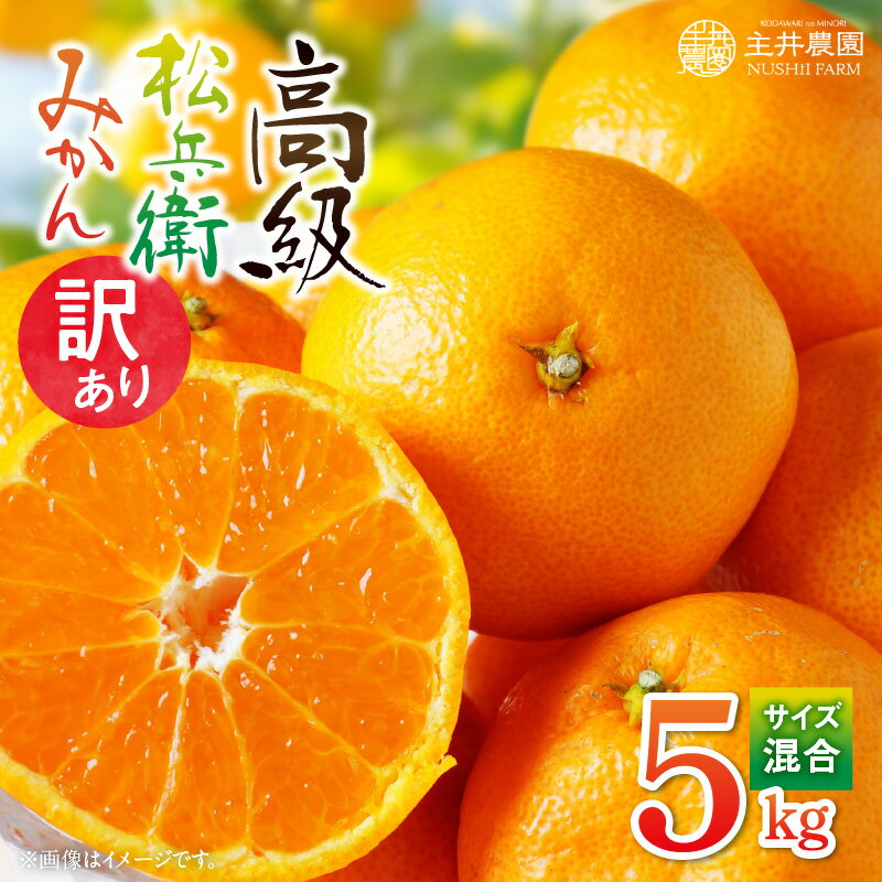 【ふるさと納税】【限定】【年内発送】 主井農園 松兵衛みかん 有田みかん 5kg (サイズ混合) 【訳あり 家庭用】 【ミカン 蜜柑 柑橘 温州みかん 有田みかん 和歌山】