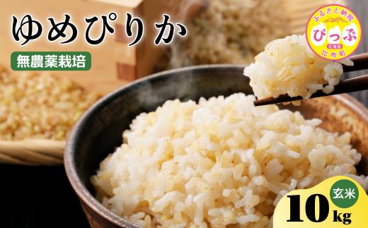 令和7年産 新米 ゆめぴりか 玄米 10kg【今野農園】無農薬栽培 農薬不使用 化学肥料不使用 米 お米 北海道米 特Aランク 国産 コメ 2025年産 北海道 比布町 ぴっぷ 1012-008