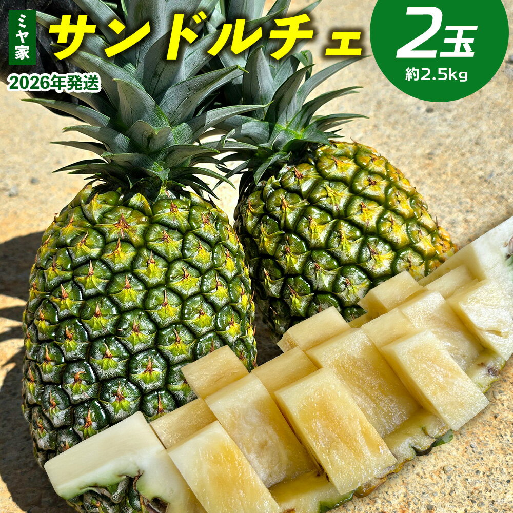 【ふるさと納税】ミヤ家　サンドルチェ　2玉（約2.5kg） 2026年発送 沖縄県産 東村 パイナップル ジューシー 希少 高級フルーツ 南国フルーツ 国産フルーツ 農家直送 パイン サンドルチェ 贈り物 おすすめ お土産 人気 やんばる 大自然 南国気分 沖縄本島北部