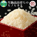 【ふるさと納税】令和6年産新米 玄米 ヒノヒカリ 5kg × 4袋 生駒高山育ち 生産者 上武猛 おいしい お米 米 健康 栄養 ご飯 おにぎり 人気 おすすめ お取り寄せ おすそ分け ライス 備蓄米 送料無料