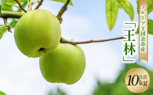 【2025年11月下旬より発送】フルーツ王国余市産「王林」10kg【ニトリ観光果樹園】