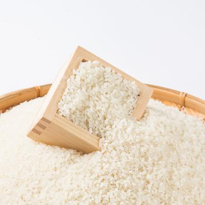 ふるさと納税 旭川市 令和7年産無洗米北海道産ななつぼし10kg こめ お米  精米 白米 |  | 01