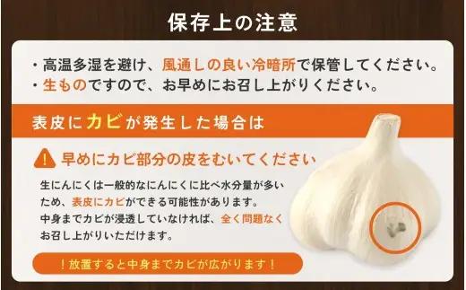 にんにく 秀品　由良の生にんにく 500g / ニンニク 生ニンニク ガーリック ※2027年4月下旬より順次発送【ksnw003】 