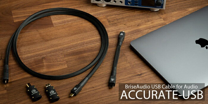 【ふるさと納税】Brise Audio ブリスオーディオ 高級 高額 音響 ACCURATE-USB TYPE C to C／オーディオ用USBケーブル