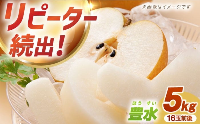 
            【先行予約】【数量限定】豊水 梨 約5kg（16玉前後 L～3L）ー2026年8月より発送ー 長与町/溝上農園 [EBY002] 長崎県産 期間限定 先行予約 大容量 フルーツ なし 梨 ほうすい 先行予約
          