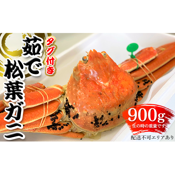 【ふるさと納税】 松葉ガニ 茹で タグ付き 900g up お届け 《2024年11月中旬?12月中旬、もしくは、2025年1月中旬以降以降順次発送》