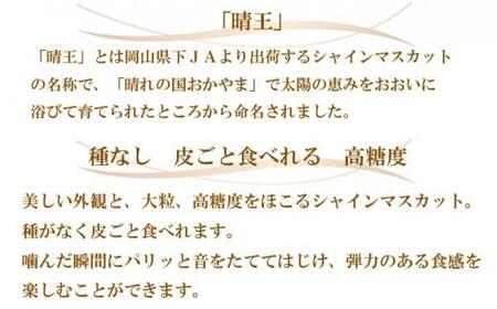 ぶどう 2024年 先行予約 シャイン マスカット 晴王 約500g×2房 ブドウ 葡萄  岡山県産 国産 フルーツ 果物 ギフト[No.5220-1262]