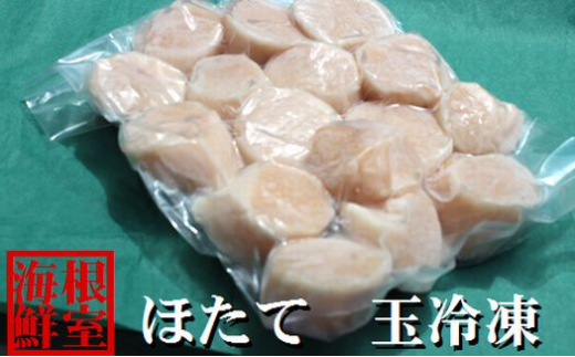 A-57036 ＼漁業者応援品／【北海道根室産】ホタテ貝柱真空パック500g