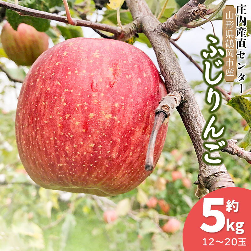 【ふるさと納税】【令和7年産 先行予約】山形県鶴岡市産 ふじりんご 約5kg入箱（12〜20玉）　農事組合法人 産直センター