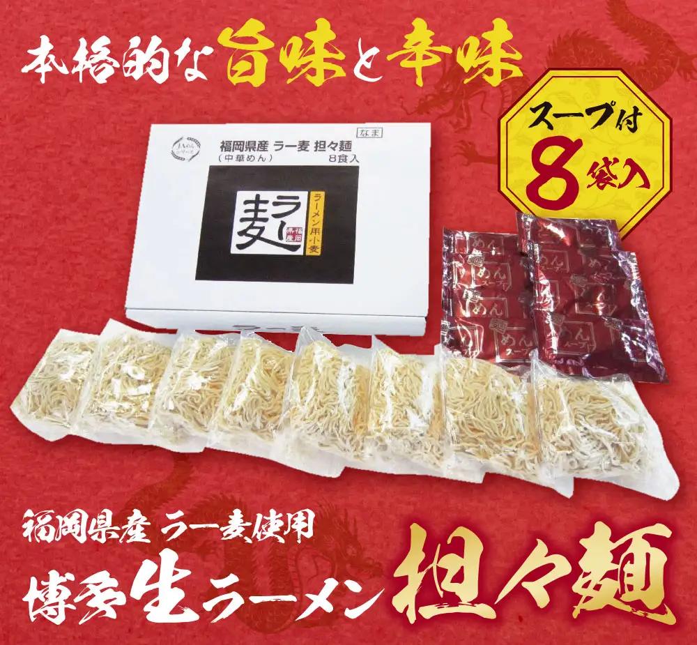 Z16-18 福岡県産ラー麦 博多生ラーメン担々麺